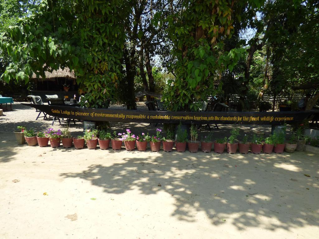 Chitwan Gaida Lodge Sauraha Exteriör bild