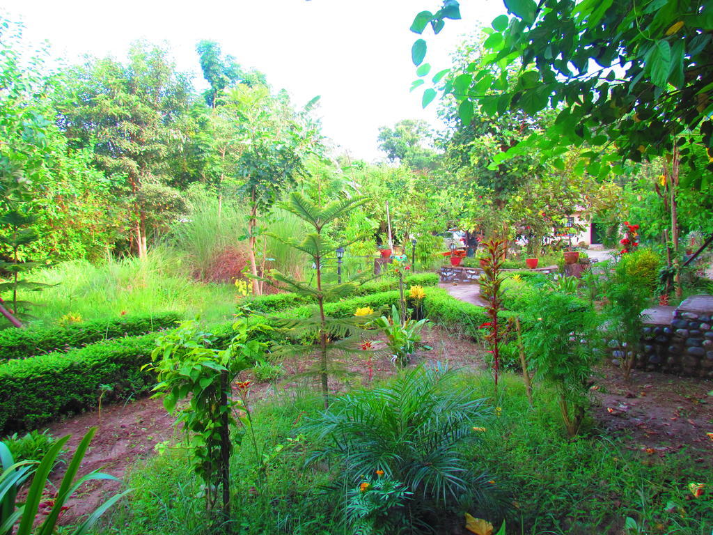 Chitwan Gaida Lodge Sauraha Exteriör bild
