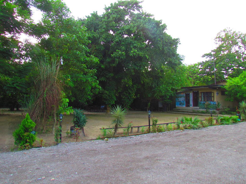 Chitwan Gaida Lodge Sauraha Exteriör bild