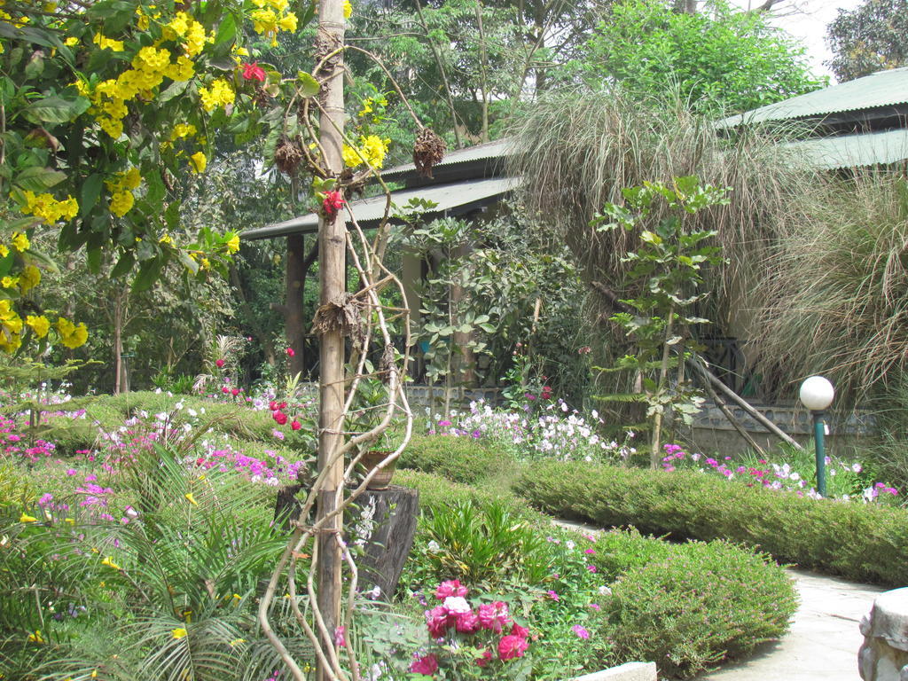 Chitwan Gaida Lodge Sauraha Exteriör bild