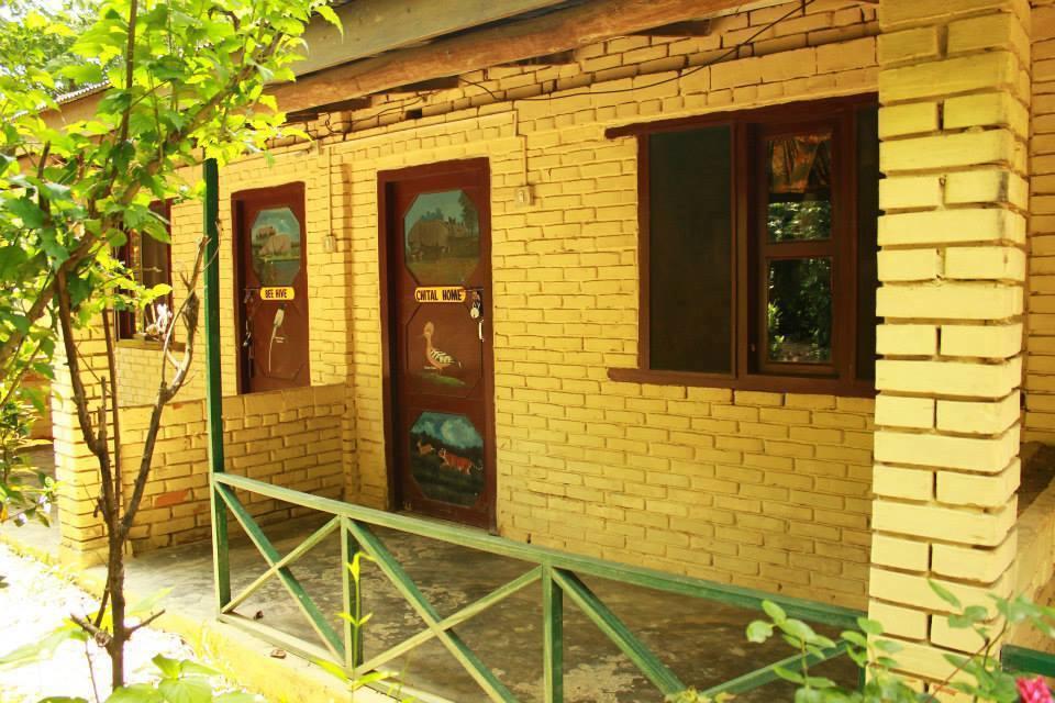 Chitwan Gaida Lodge Sauraha Exteriör bild