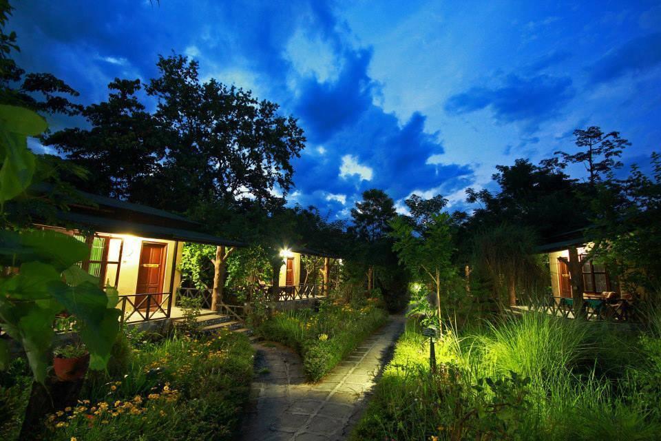 Chitwan Gaida Lodge Sauraha Exteriör bild