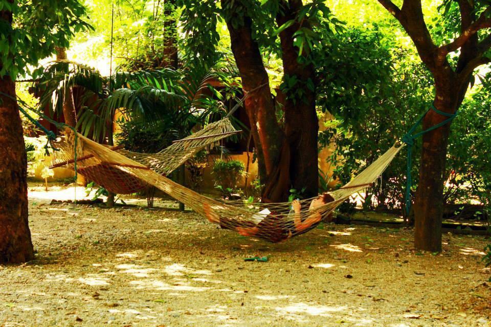 Chitwan Gaida Lodge Sauraha Exteriör bild