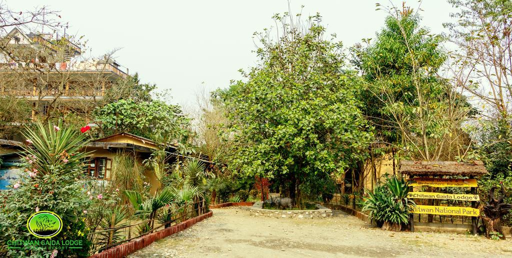 Chitwan Gaida Lodge Sauraha Exteriör bild