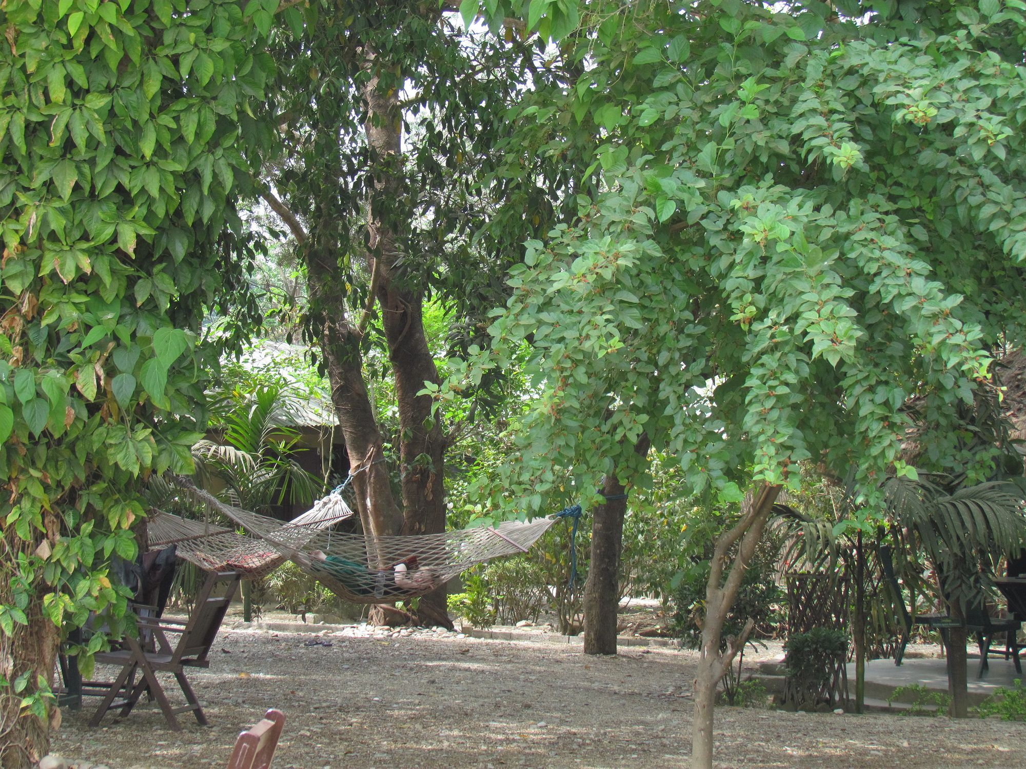Chitwan Gaida Lodge Sauraha Exteriör bild
