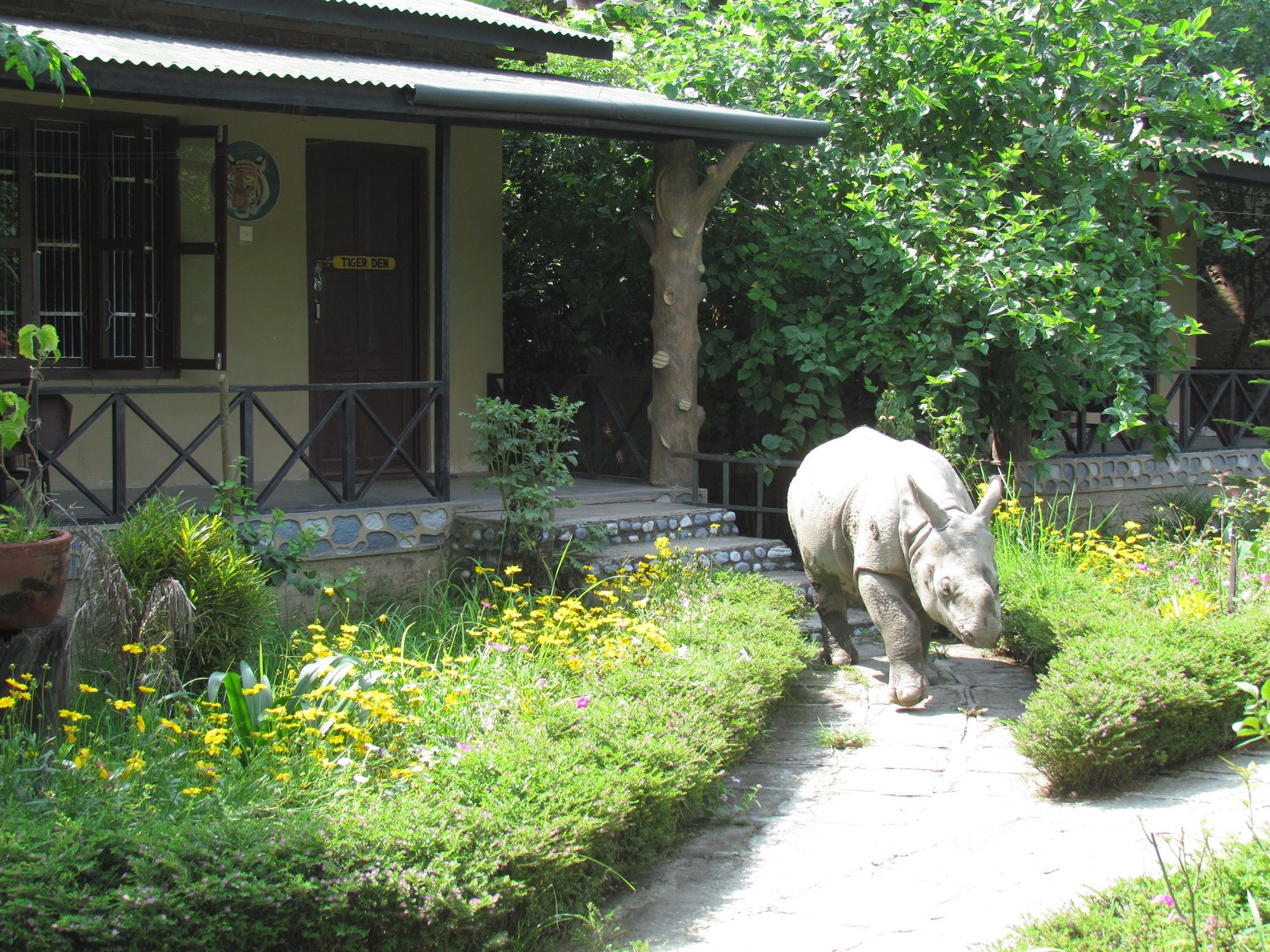 Chitwan Gaida Lodge Sauraha Exteriör bild